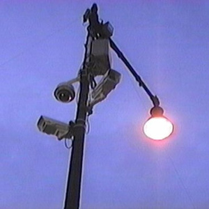 爆乳无码尤物在线
